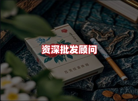 专业团队